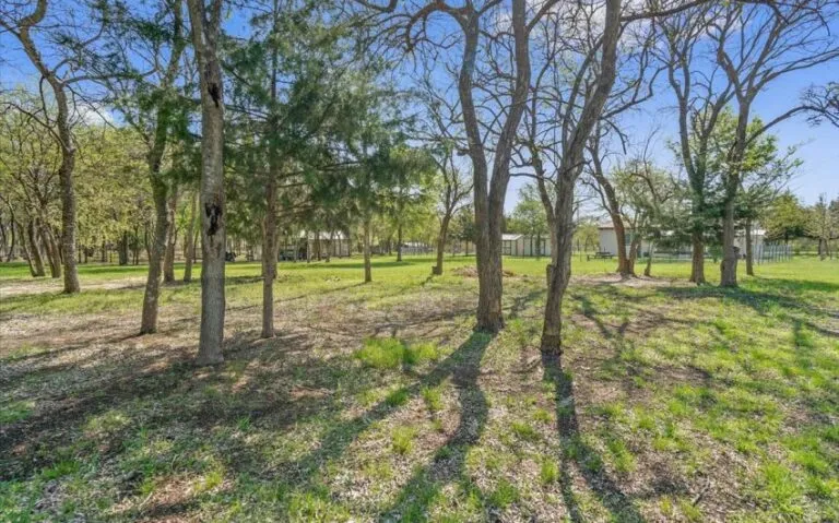 25 1147 HCR 4333 23 850x530 1 768x479