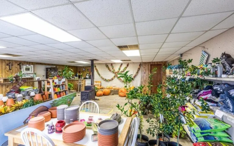 27 BN4A5369 850x530 1 768x479