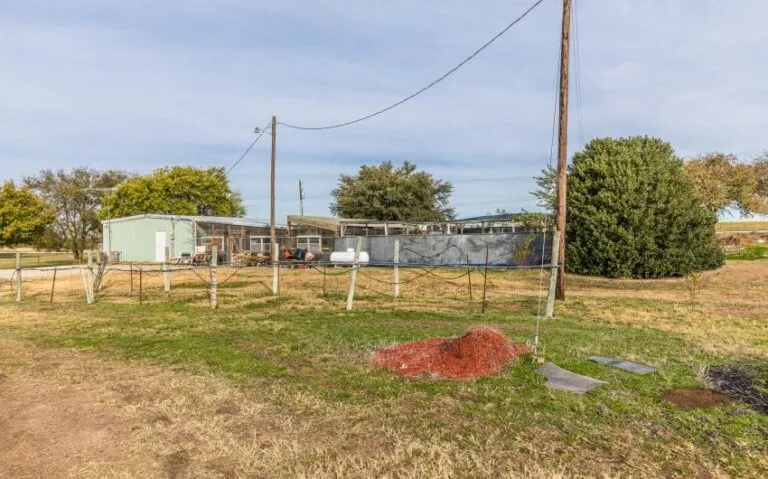 42 BN4A5113 850x530 1 768x479