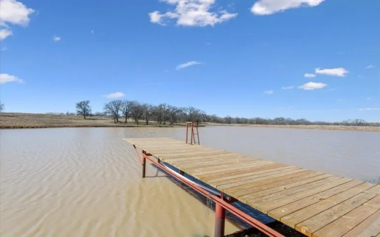 45 1001 FM 3370 43 Copy 850x530 1 768x479