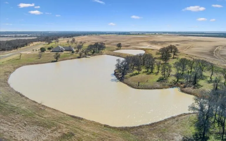 48 1001 FM 3370 Drone 3 Copy Copy 850x530 1 768x479