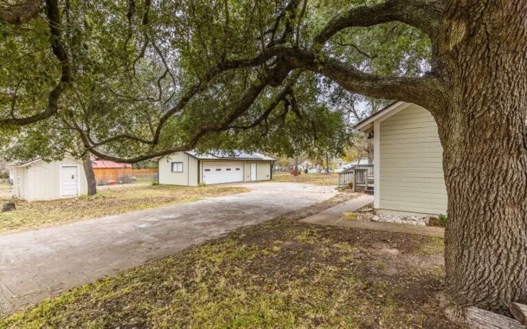 56 BN4A6027 850x530 1 768x479