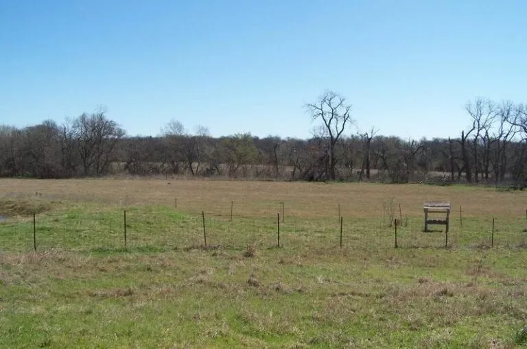 612 1 2016 03 11412926 800x530 1 768x509