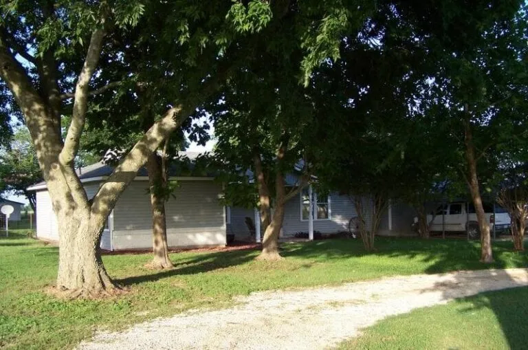 629 1 2016 06 16768530 800x530 1 768x509