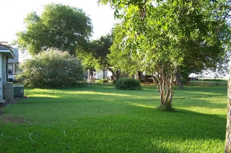 629 1 2016 06 16819634 800x530 1 768x509