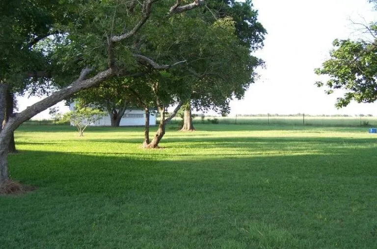 629 1 2016 06 16844887 800x530 1 768x509