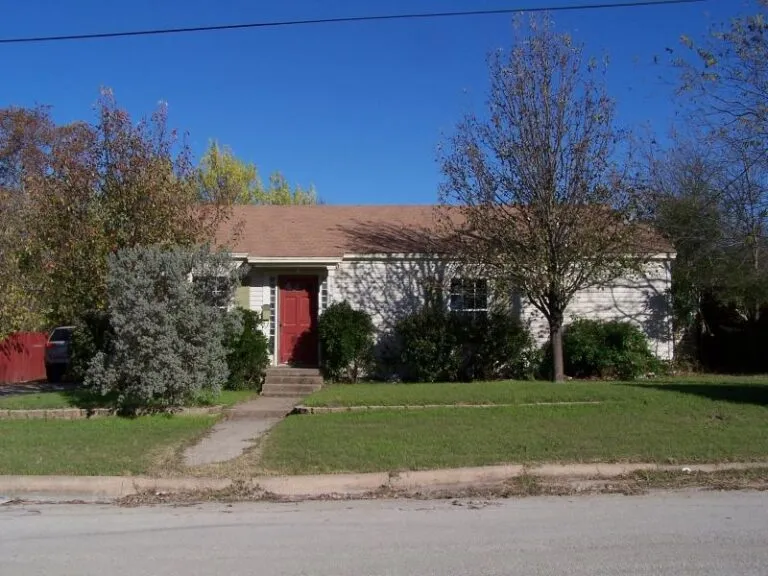 805ewalnut 1 768x576