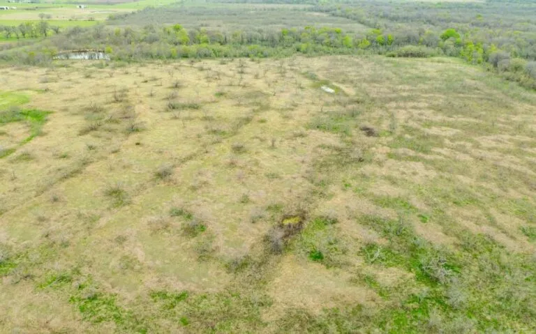 Exterior 12 850x530 1 768x479