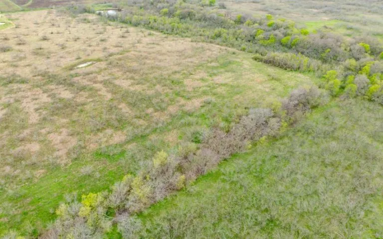 Exterior 15 850x530 1 768x479