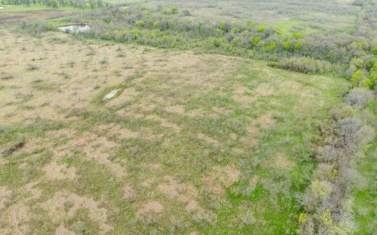 Exterior 16 850x530 1 768x479