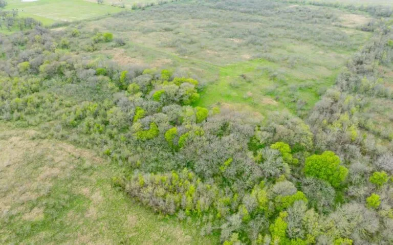 Exterior 17 850x530 1 768x479