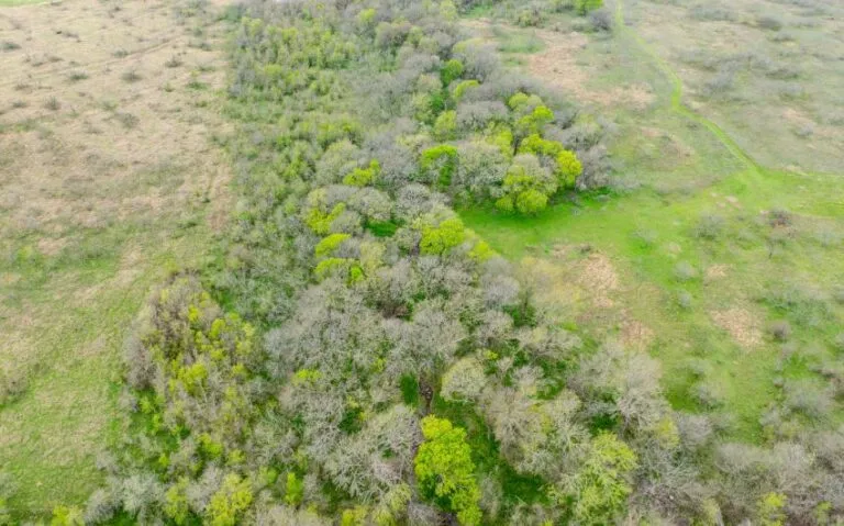 Exterior 18 850x530 1 768x479