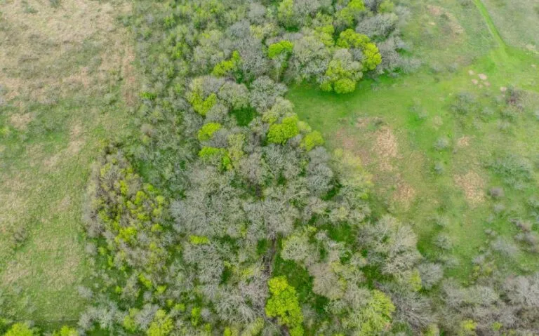 Exterior 19 850x530 1 768x479