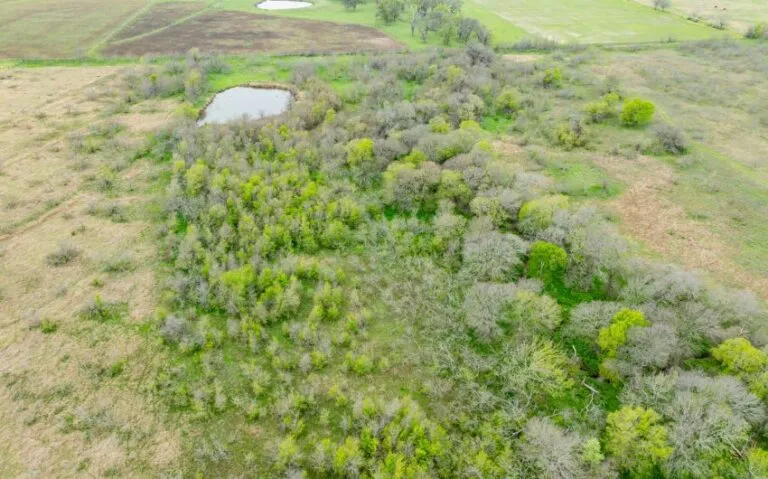 Exterior 22 850x530 1 768x479