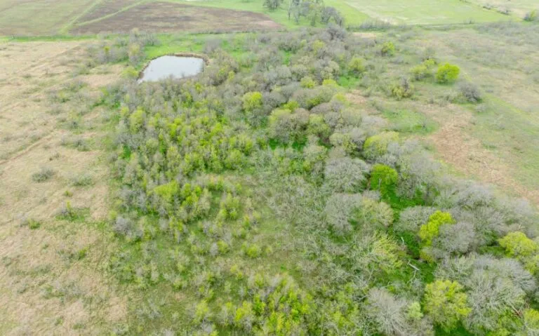 Exterior 23 850x530 1 768x479