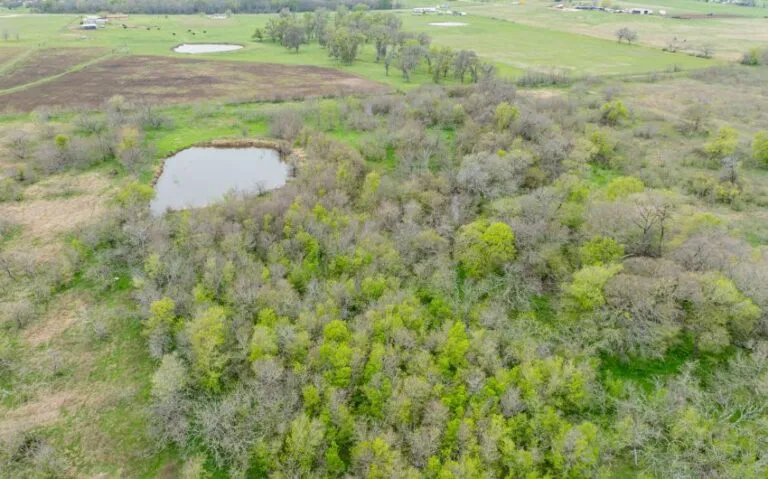 Exterior 24 850x530 1 768x479