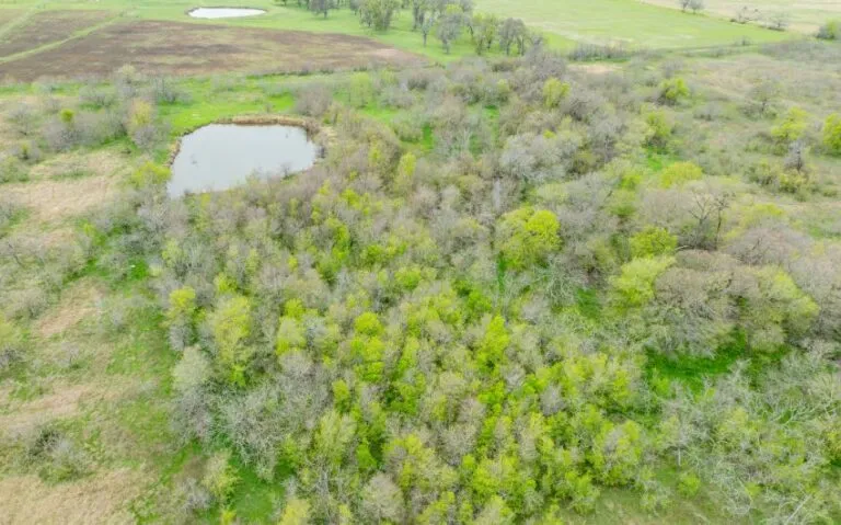 Exterior 25 850x530 1 768x479