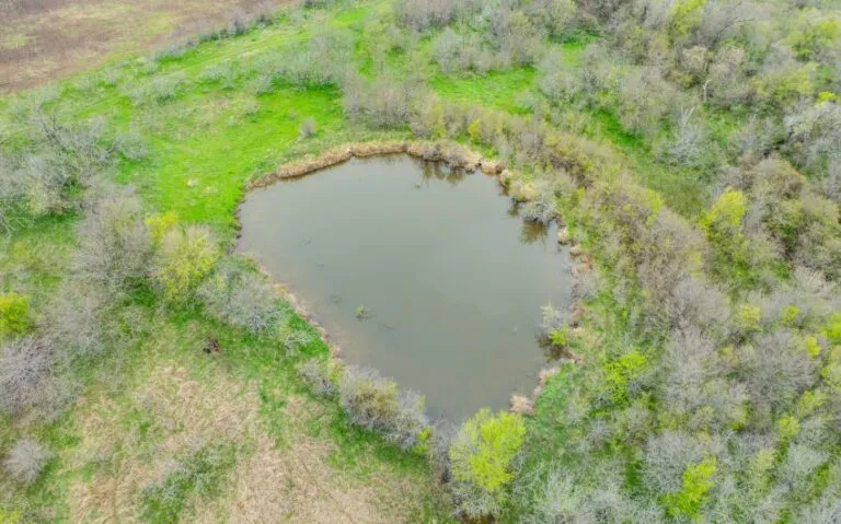 Exterior 26 850x530 1 768x479