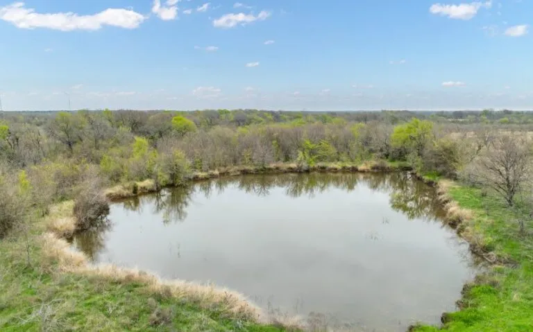 Exterior 28 850x530 1 768x479