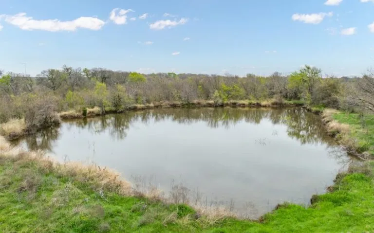 Exterior 29 850x530 1 768x479