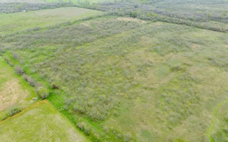 Exterior 33 850x530 1 768x479