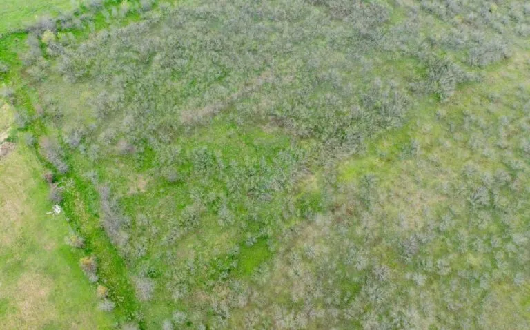 Exterior 34 850x530 1 768x479