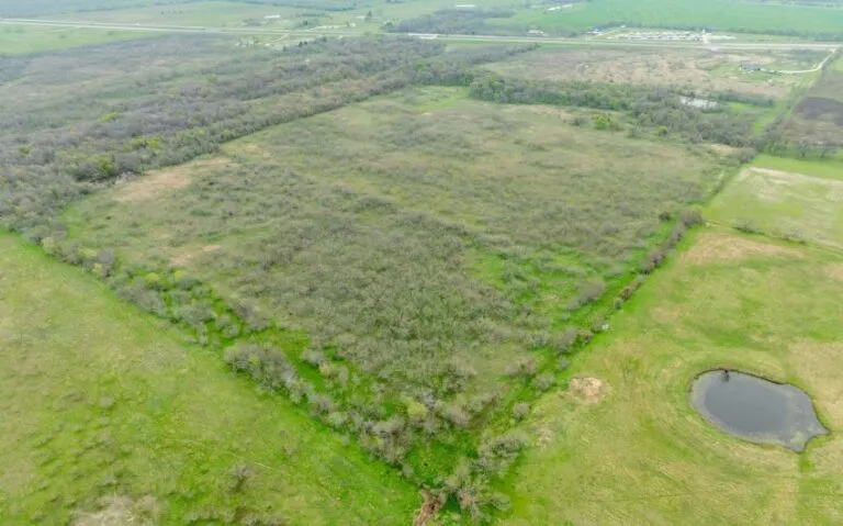 Exterior 36 850x530 1 768x479