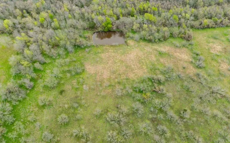 Exterior 38 850x530 1 768x479