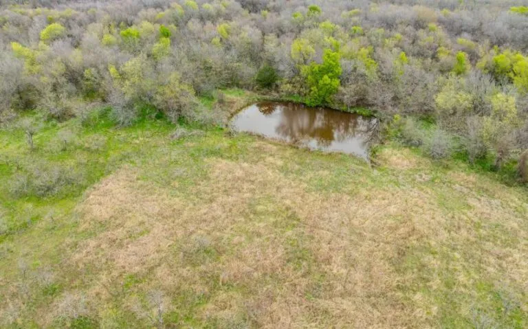 Exterior 39 850x530 1 768x479