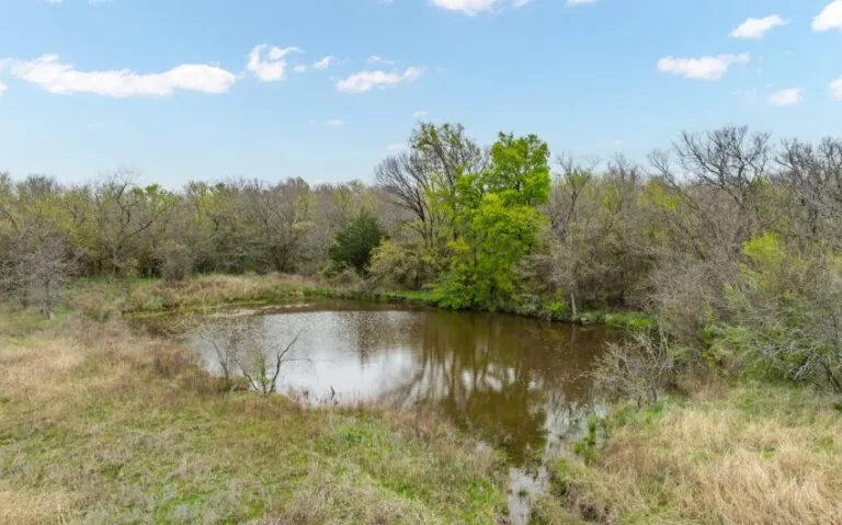 Exterior 41 850x530 1 768x479