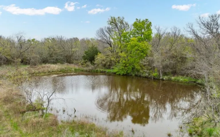 Exterior 42 850x530 1 768x479