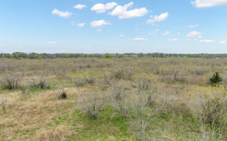 Exterior 43 850x530 1 768x479