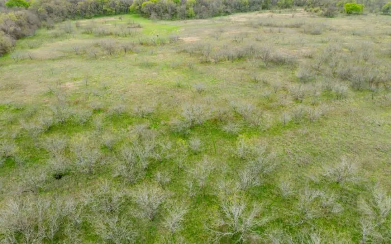 Exterior 44 850x530 1 768x479