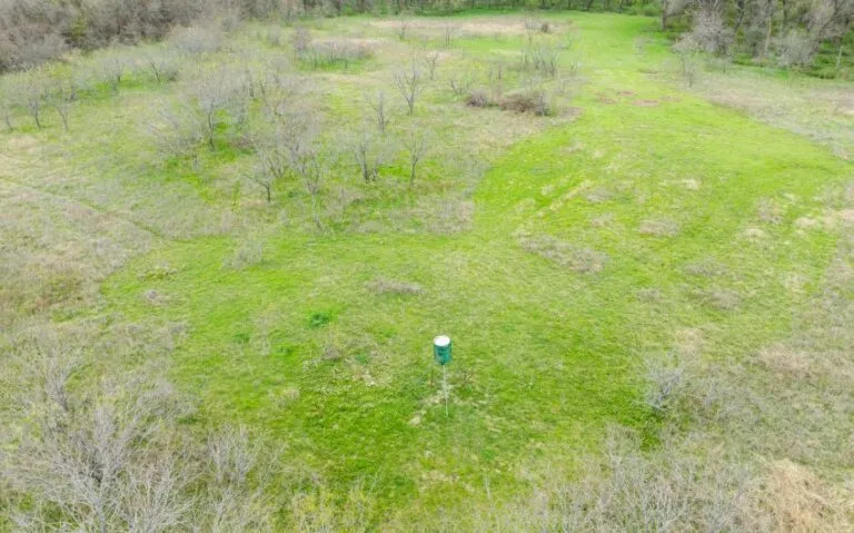 Exterior 46 850x530 1 768x479