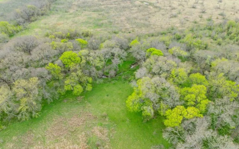 Exterior 47 850x530 1 768x479