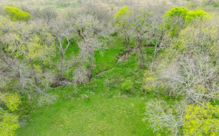 Exterior 48 850x530 1 768x479