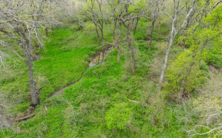 Exterior 49 850x530 1 768x479