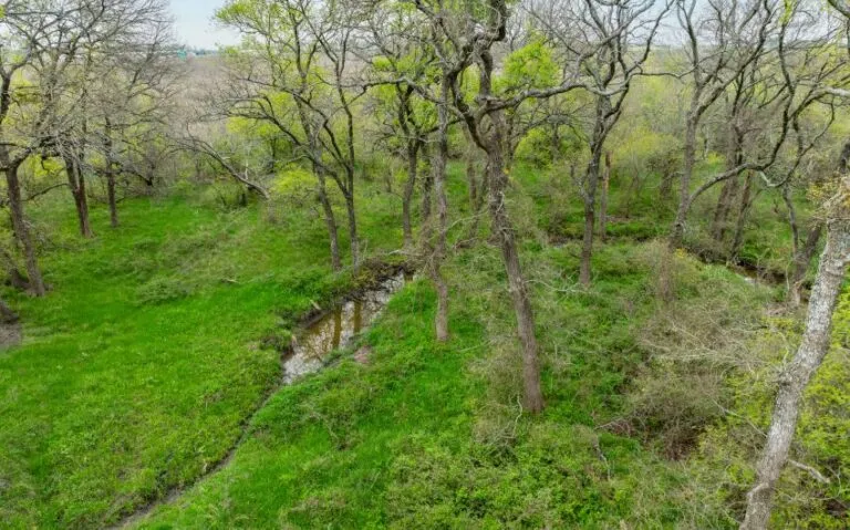 Exterior 50 850x530 1 768x479