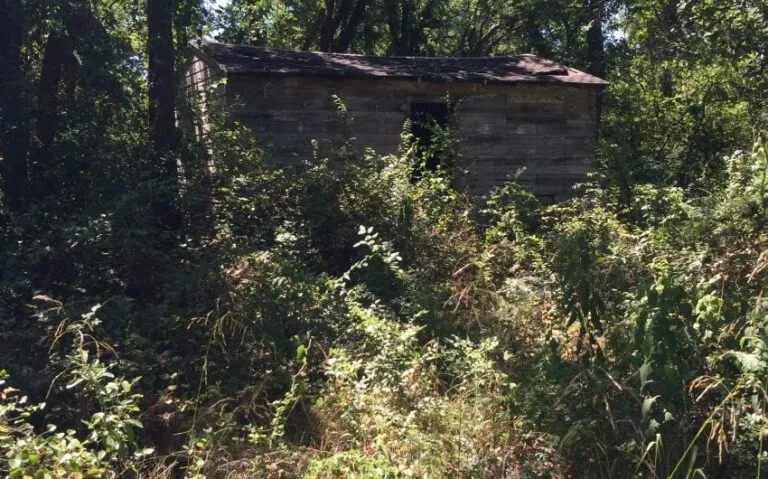 IMG 1340 1 850x530 1 768x479