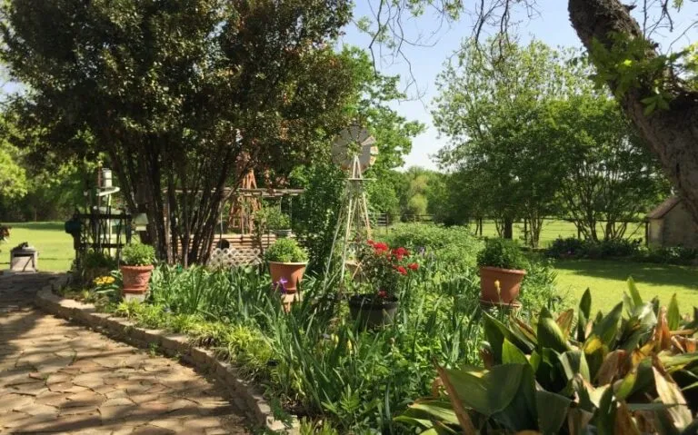 IMG 3573 850x530 1 768x479