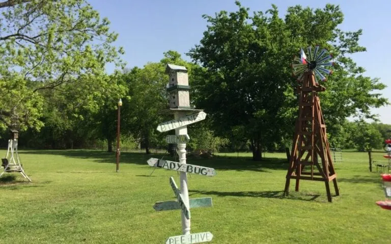 IMG 3574 850x530 1 768x479