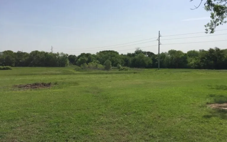 IMG 3575 850x530 1 768x479