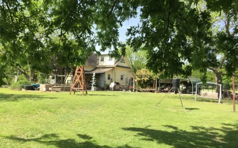 IMG 3578 850x530 1 768x479