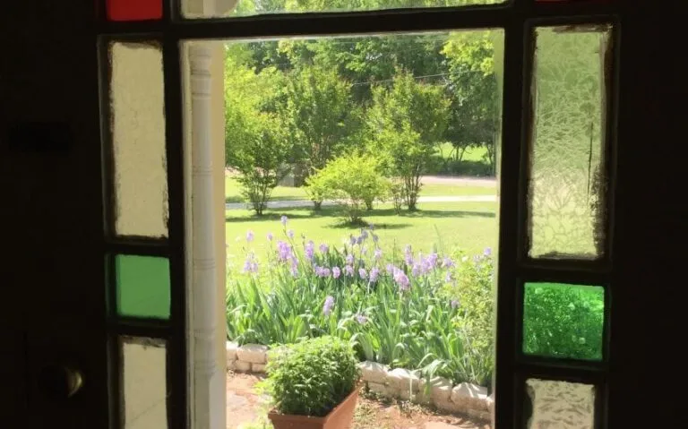 IMG 3588 e1524088910619 850x530 1 768x479