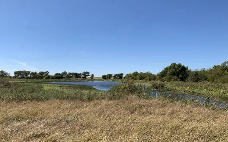 IMG 5791 850x530 1 768x479