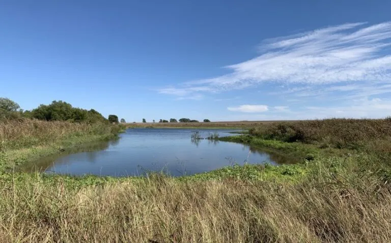 IMG 5794 850x530 1 768x479