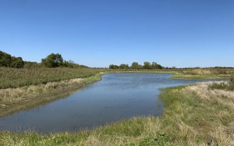 IMG 5795 850x530 1 768x479