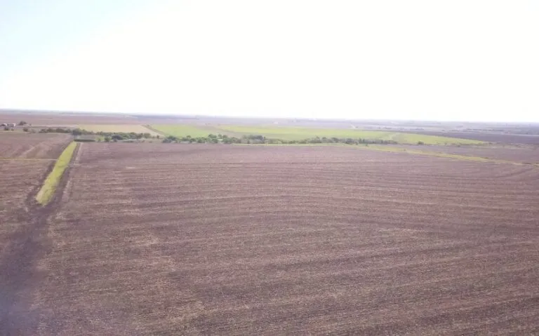 Photo Aug 31 9 18 50 AM 850x530 1 768x479