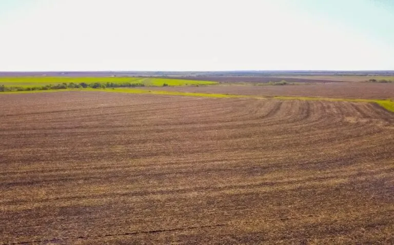 Photo Aug 31 9 24 22 AM 850x530 1 768x479