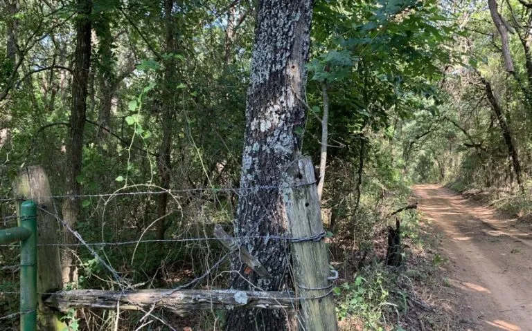 TBD HCR 1307 END OF ROAD PIC 850x530 1 768x479